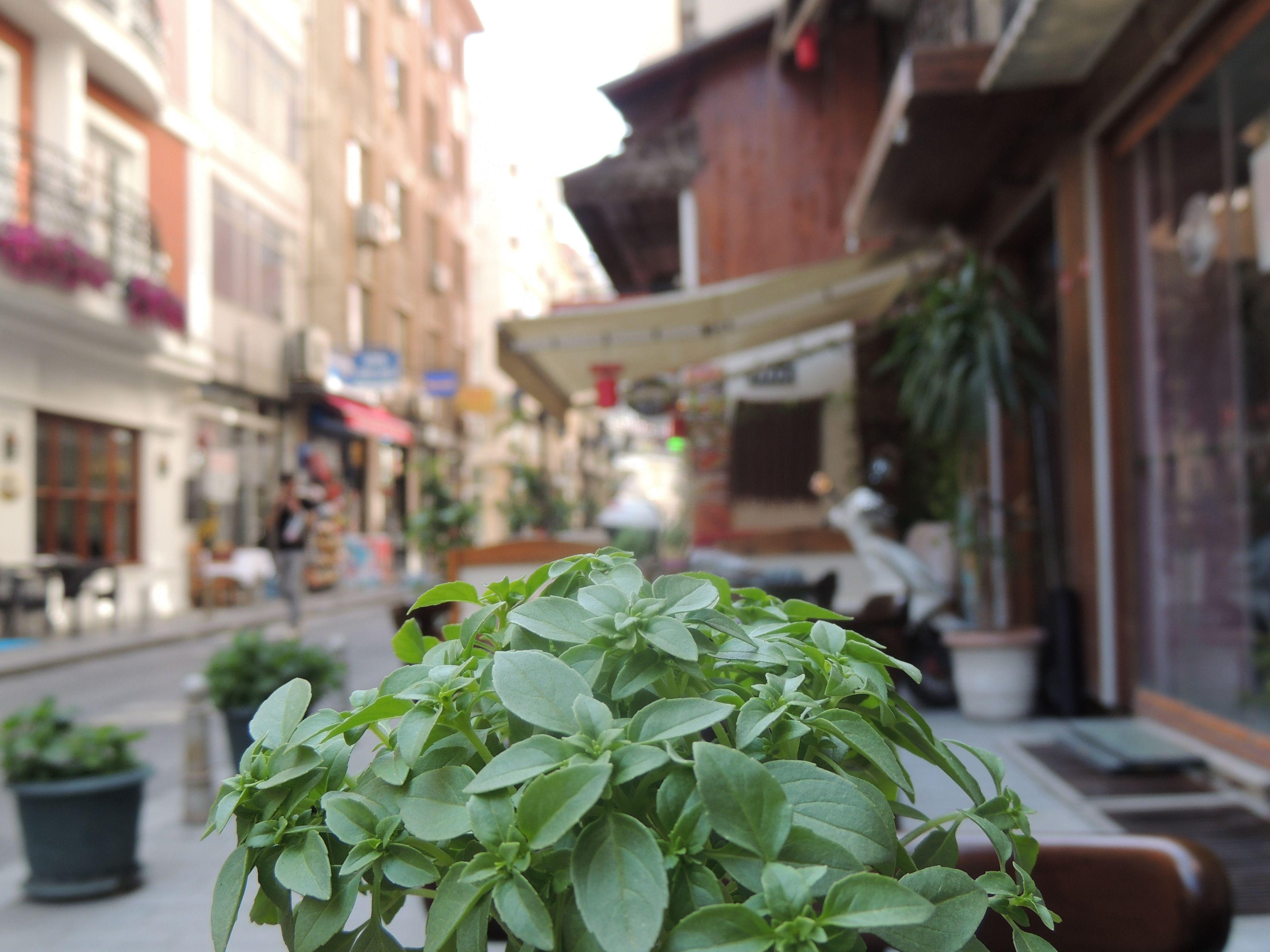 Sirkeci Quietness Hotel — Photos 2
